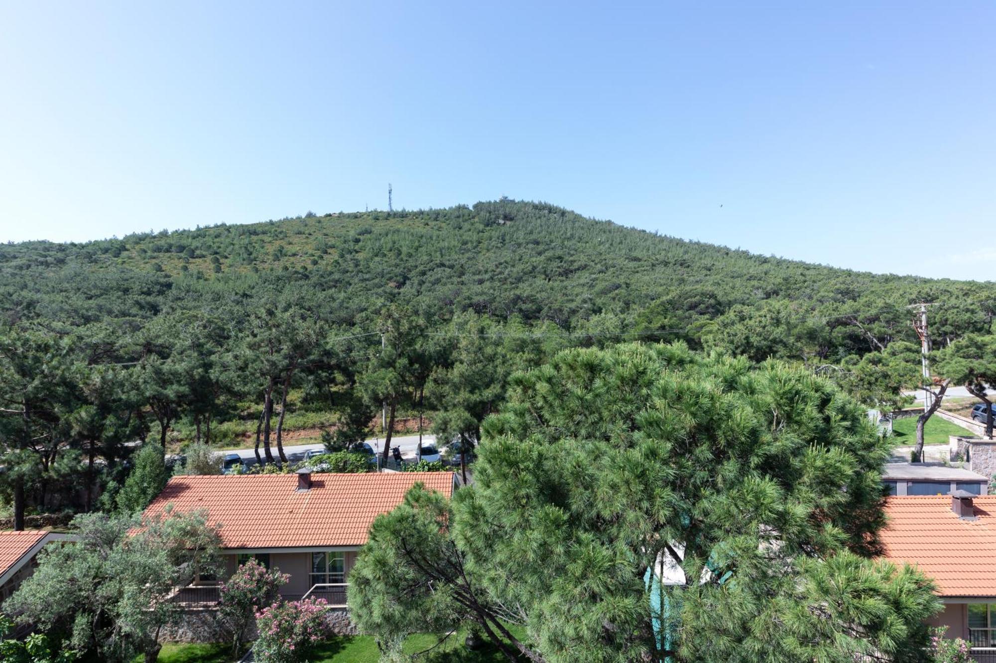 D - Resort Ayvalı Rom bilde